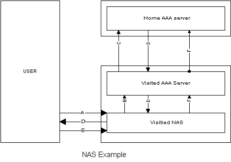 nas.jpg (14307 bytes)